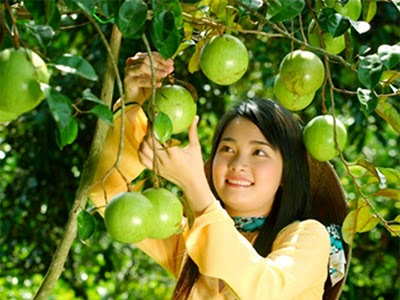 Ứng[-]dụng[-]công[-]sinh[-]học[-]sản[-]xuất[-]trái[-]cây[-]sạch